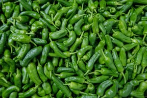 pimiento del padron fruto 4